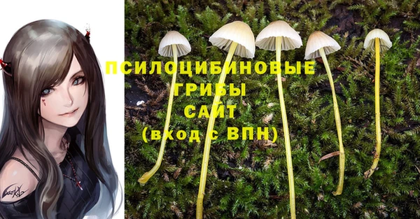 мяу мяу мука Алексин