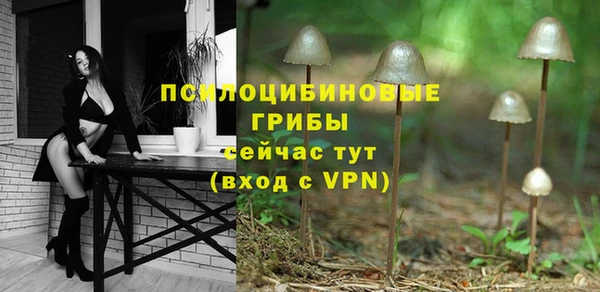мяу мяу мука Алексин