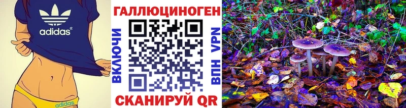 Псилоцибиновые грибы Psilocybe  где найти наркотики  Венёв 
