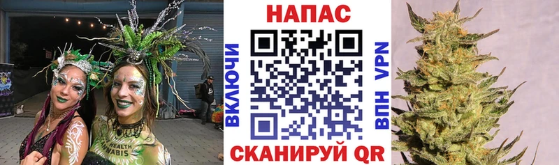 Бошки марихуана White Widow  где купить наркотик  Венёв 